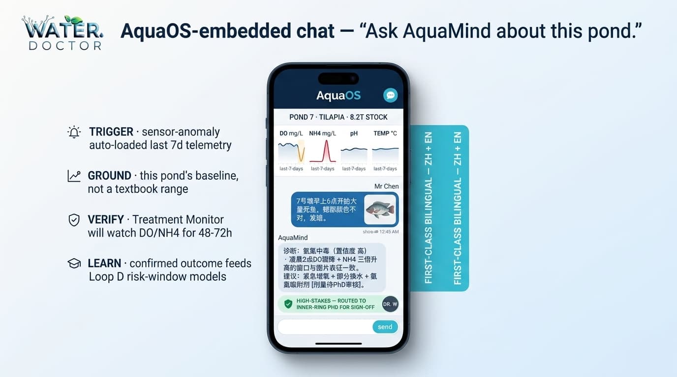 AquaOS-embedded chat interface on mobile — Ask AquaMind about this pond
